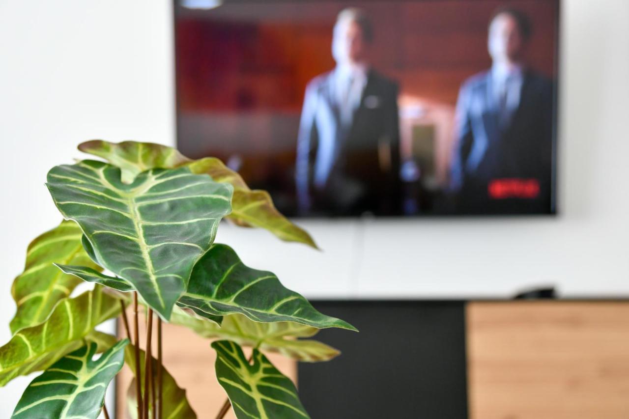 Am Theater: Modern With Kitchen And Netflix Cottbus